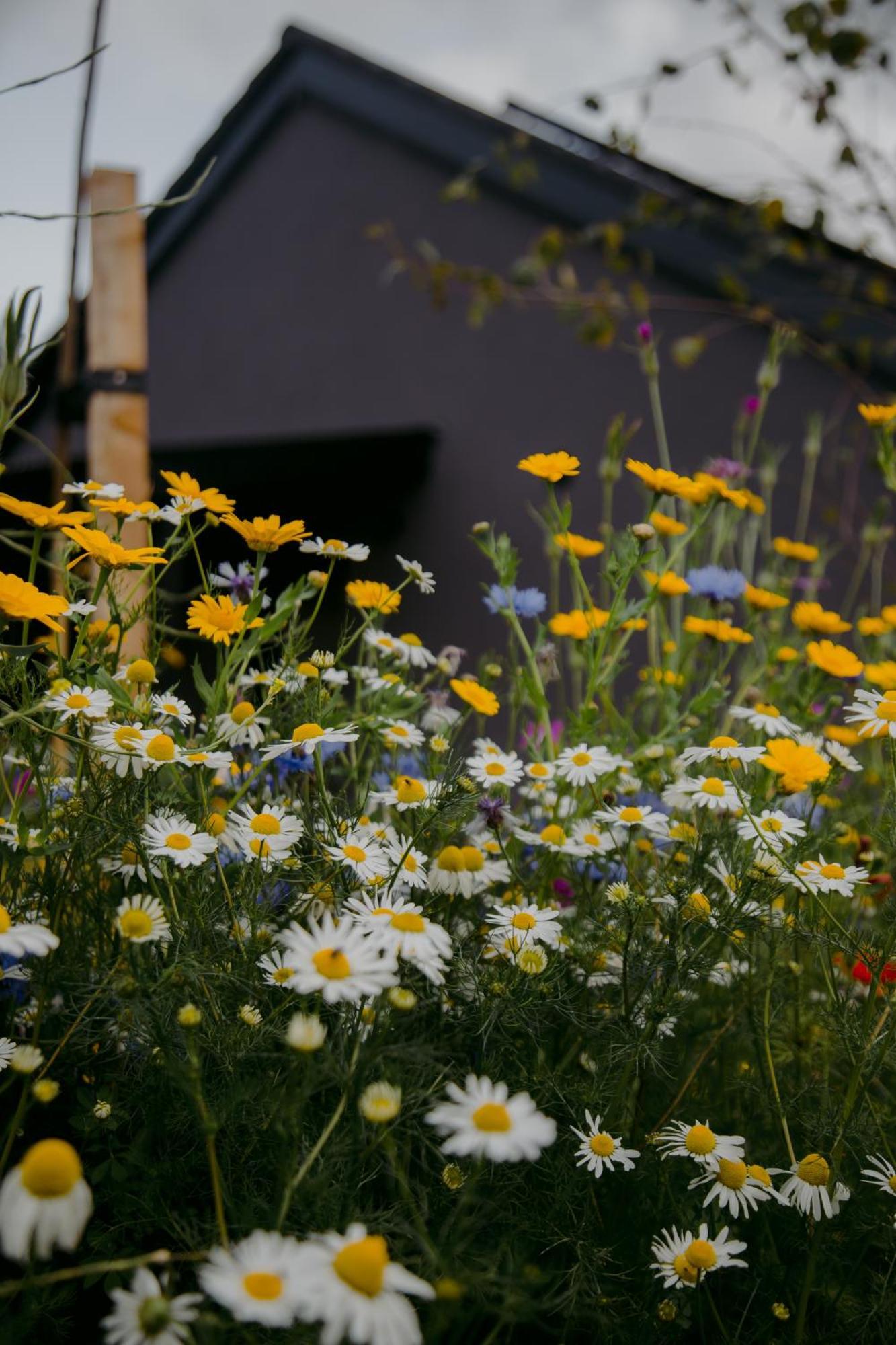 The Deerstone Luxury Eco Hideaway Vila Laragh Exterior foto